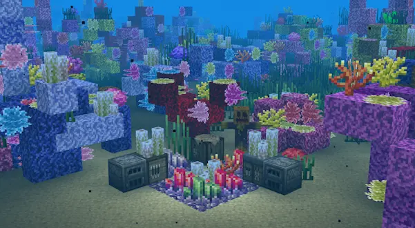 Coral reef