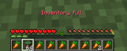Full inventory behavior warning