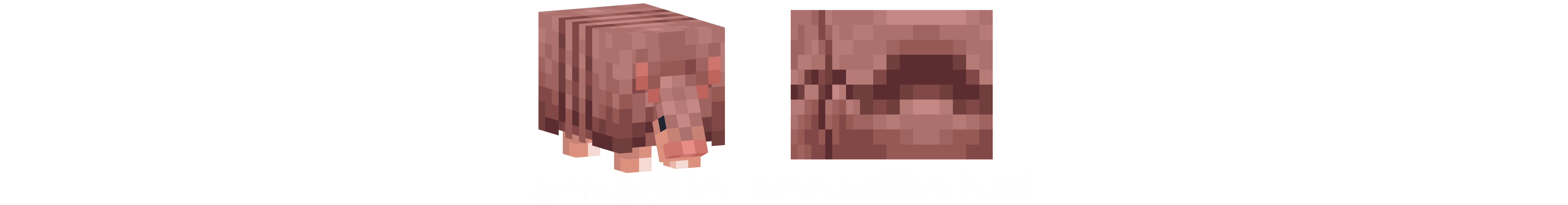 armadillo