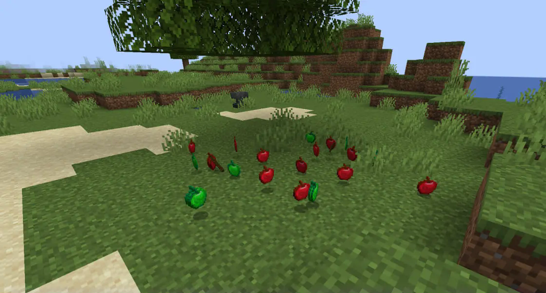 Green apple drops from oak leaves