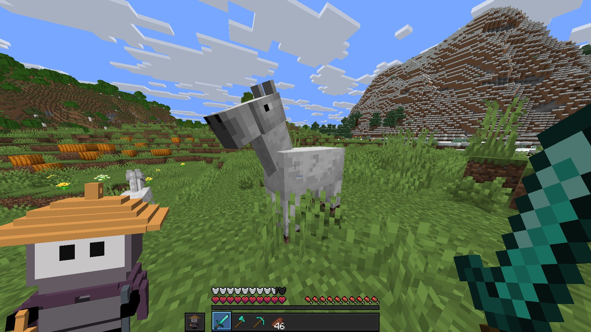 The player holds the totem in their left hand