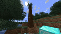 Demonstration of changing physics