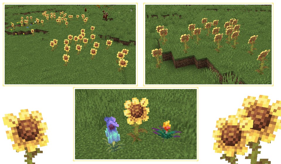 screens