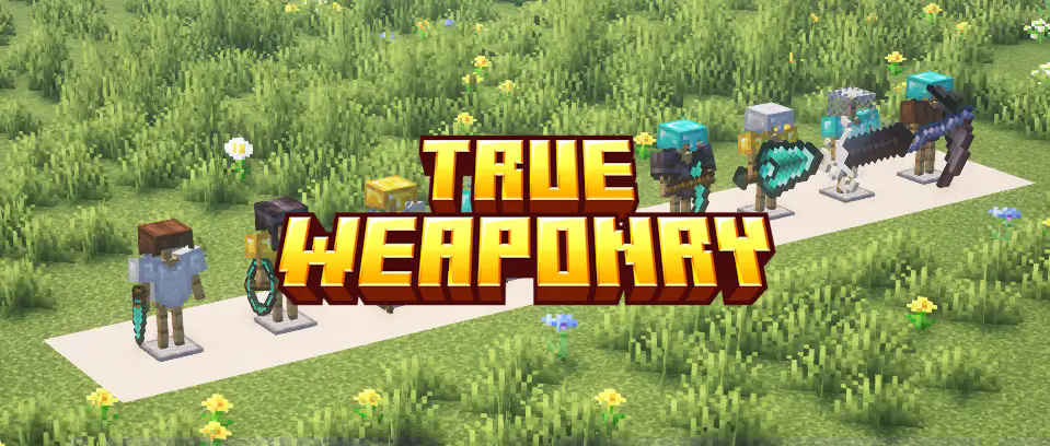 Intro Banner
