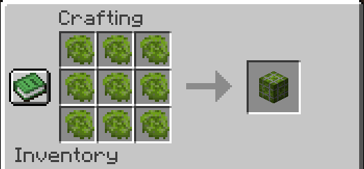 craft_block1