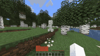 HP is decreasing due to the Creeper's explosion.