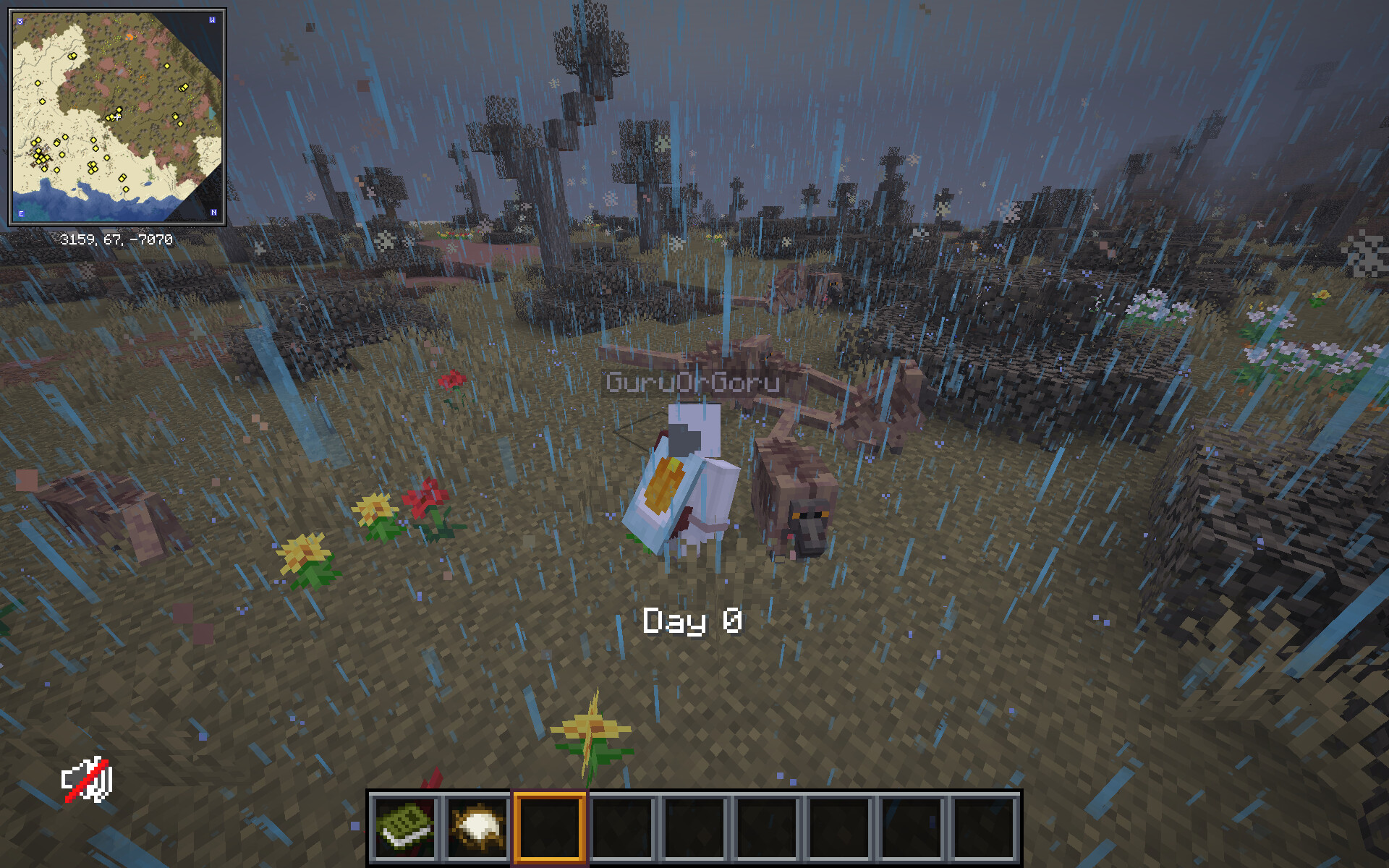 Multiplayer