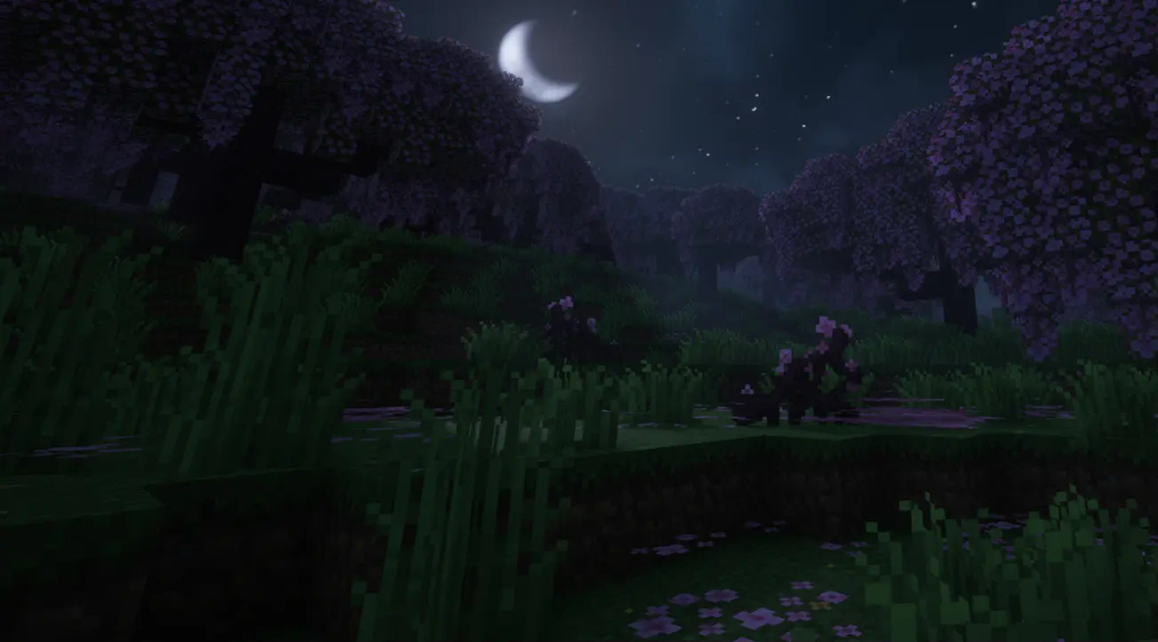 Cinematic forest shot