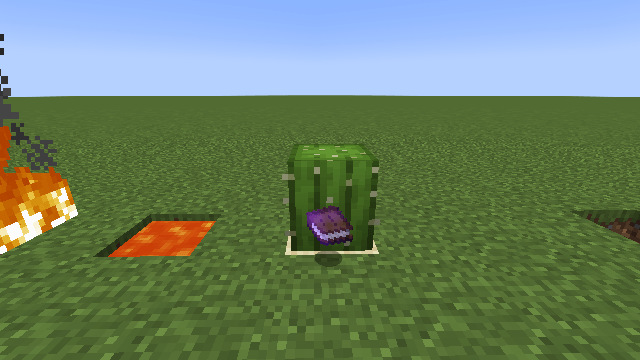 Your items will not disappear even if you hit a cactus