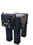 Replace this with a description