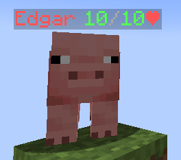 Pig with healthbar