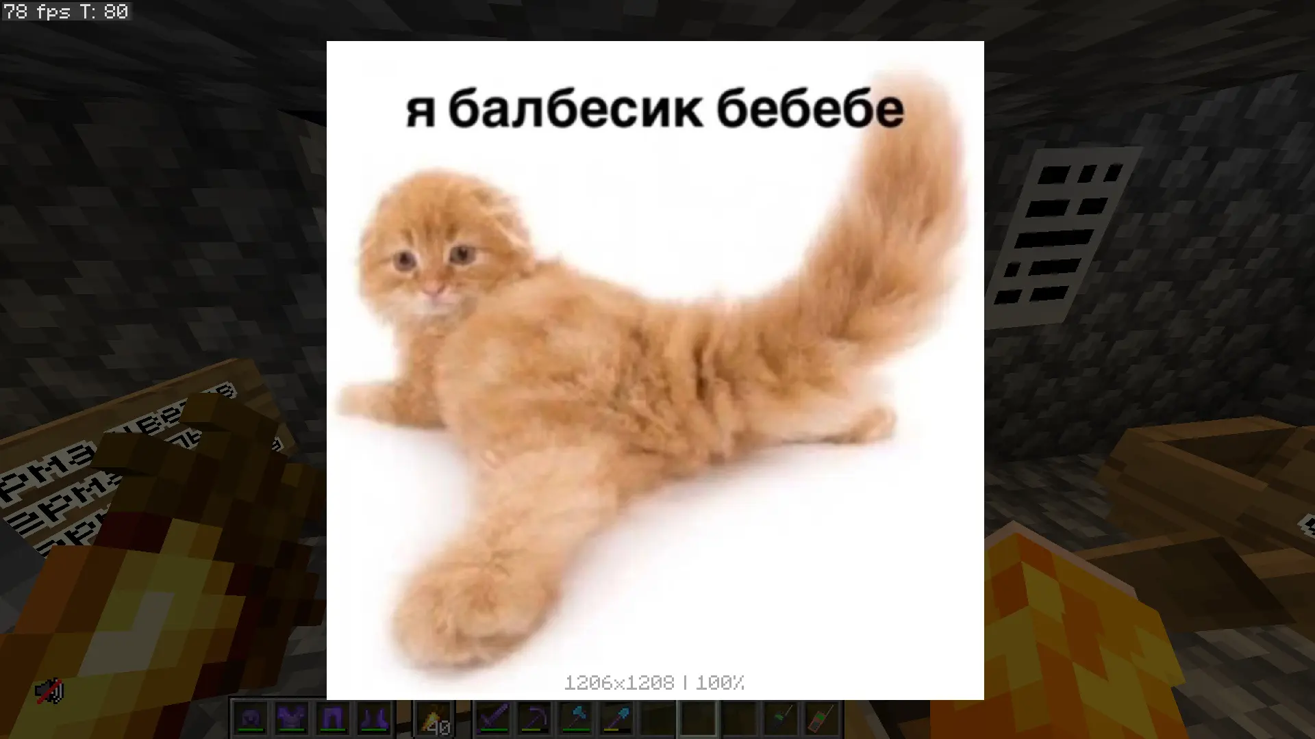 funny image