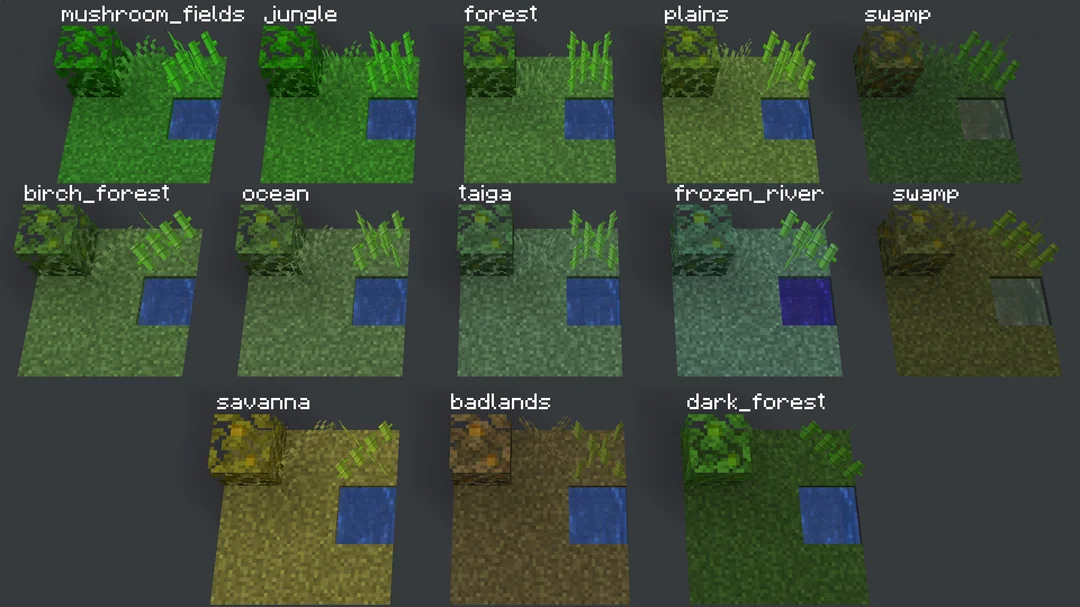 The grass block in various biomes (by u/NamrednE125)