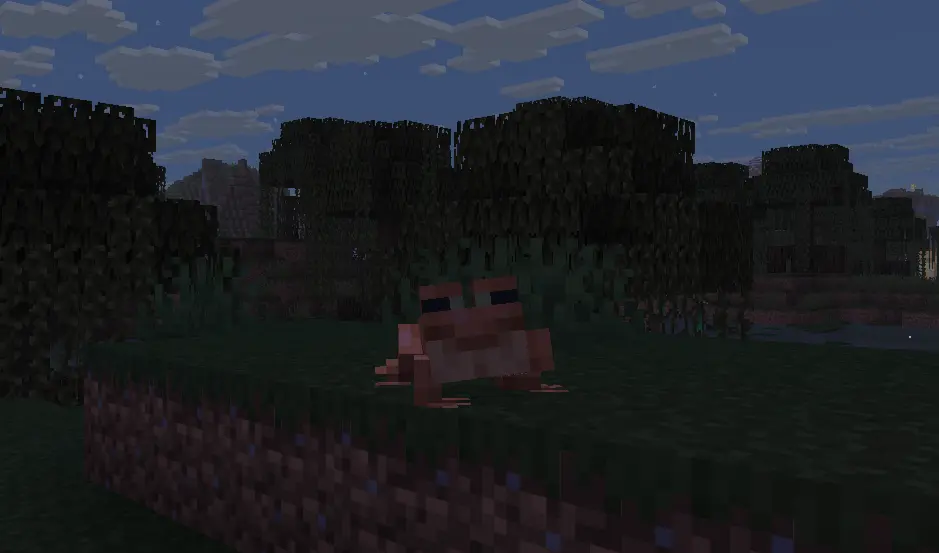 A Frog Living The Life In A Reflourished Swamp