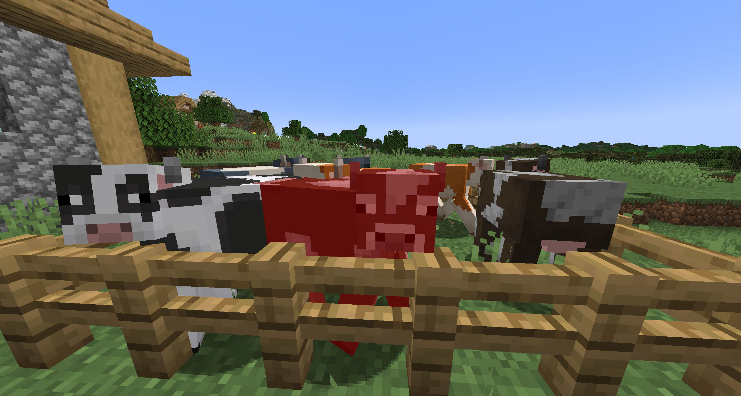 Crowded Animals