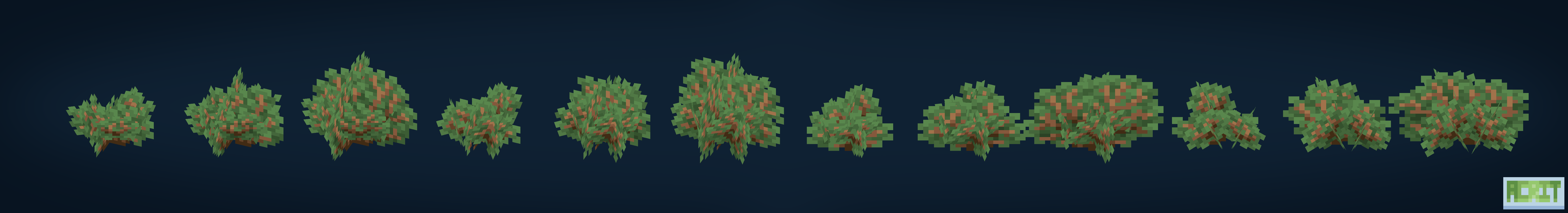 Dense Bush