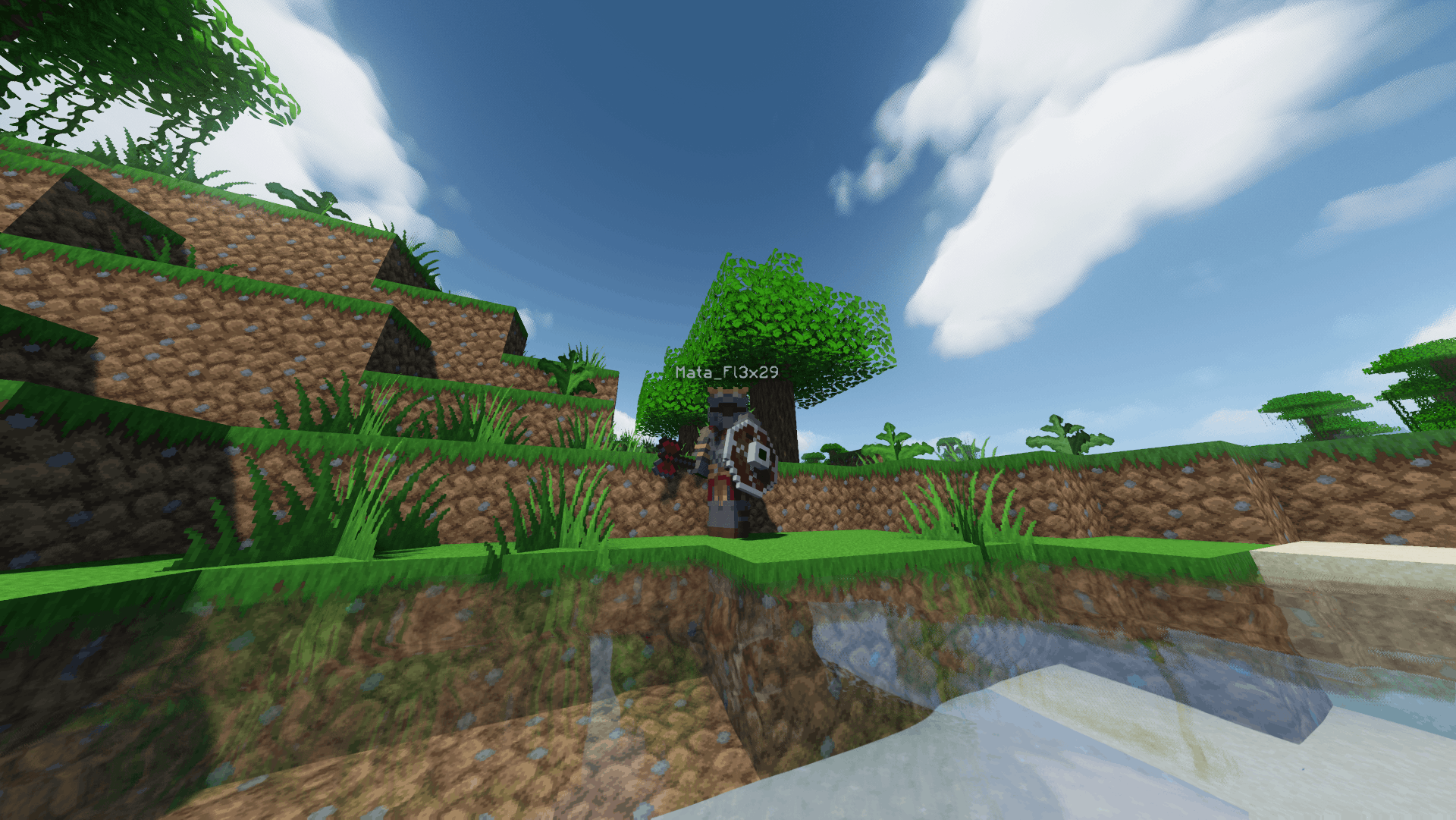 axe_shield)