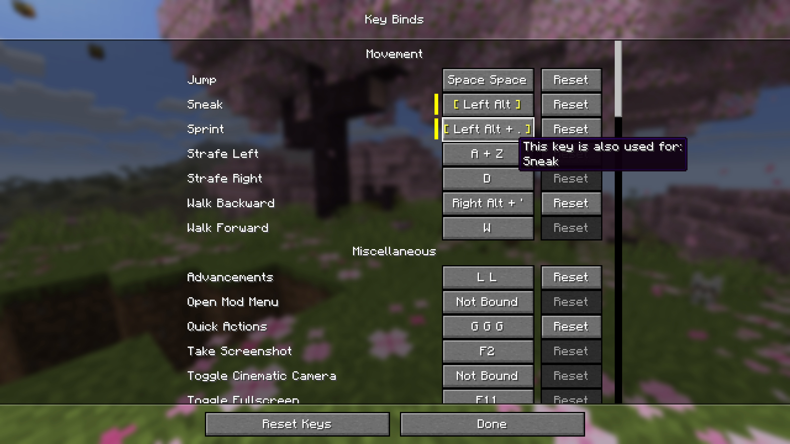 Key Binds Screen