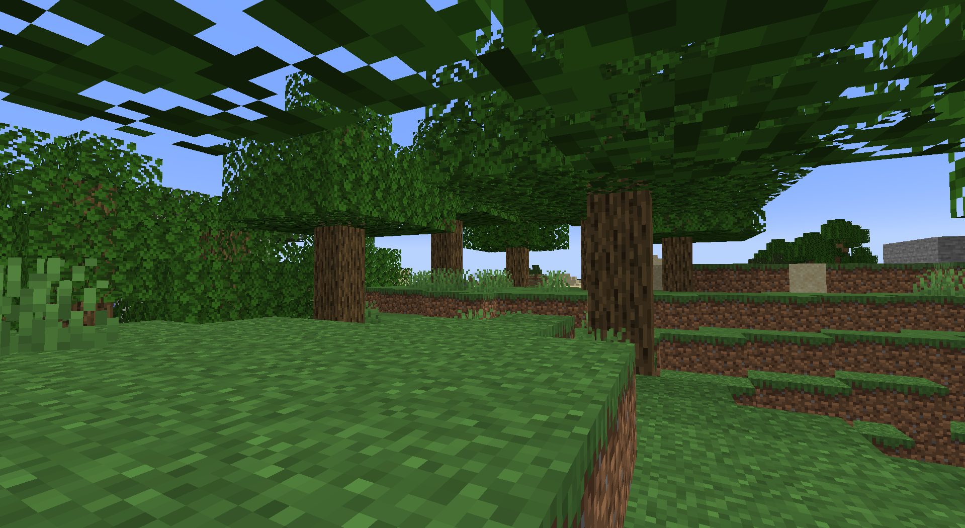 Yes the giople is in this image... it's the tree at the back of the image in  the center kind of..