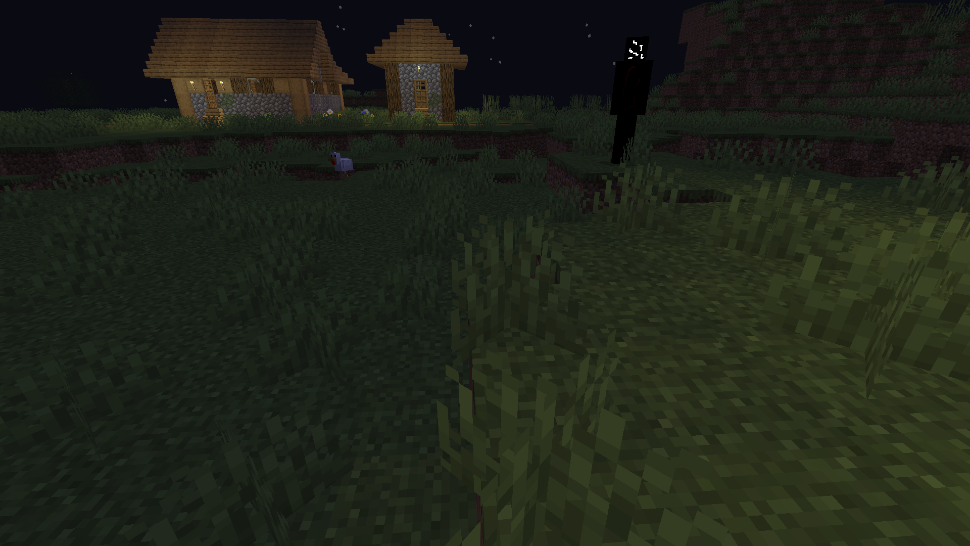Being watched...