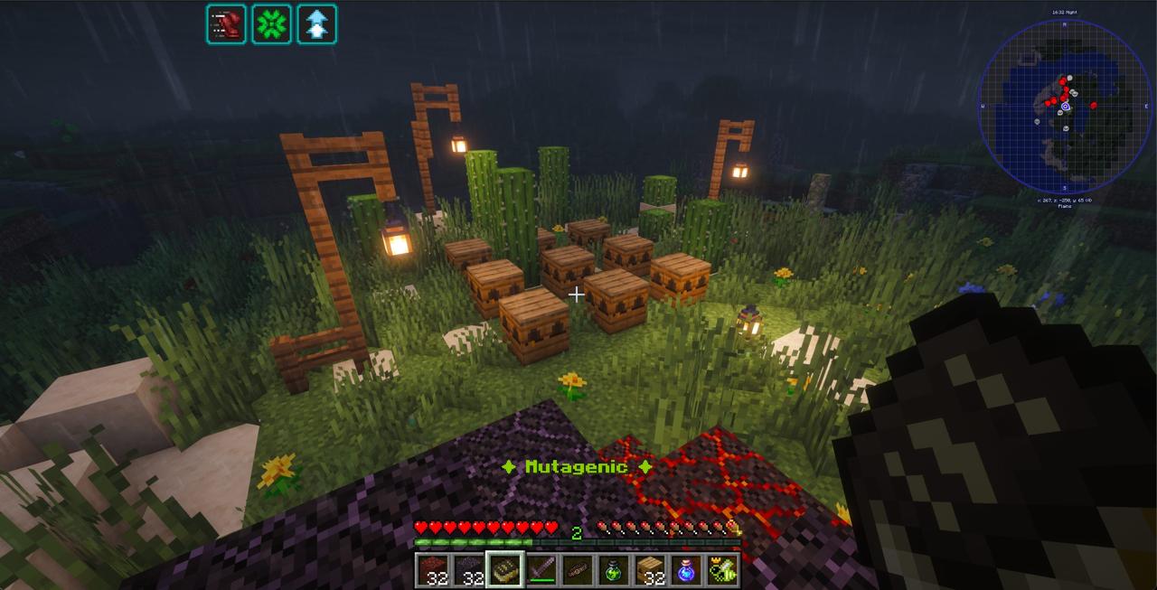 Bee-yard overview