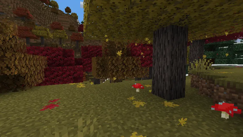 Maple Forest