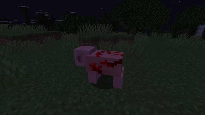 The angry pig is a bloody pig that attacks and infects other pigs