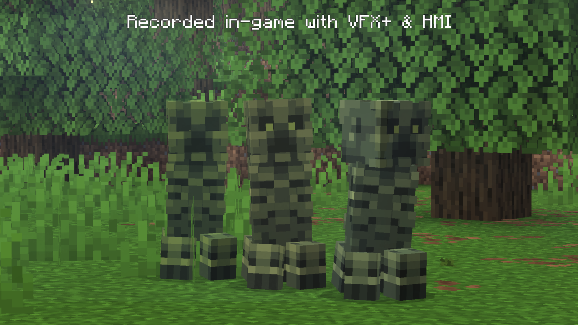 Color Variants