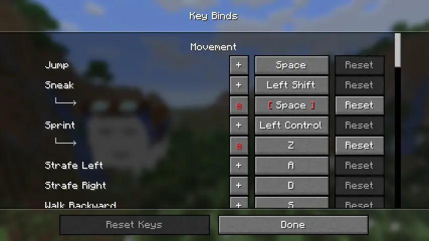 Keybinds Settings