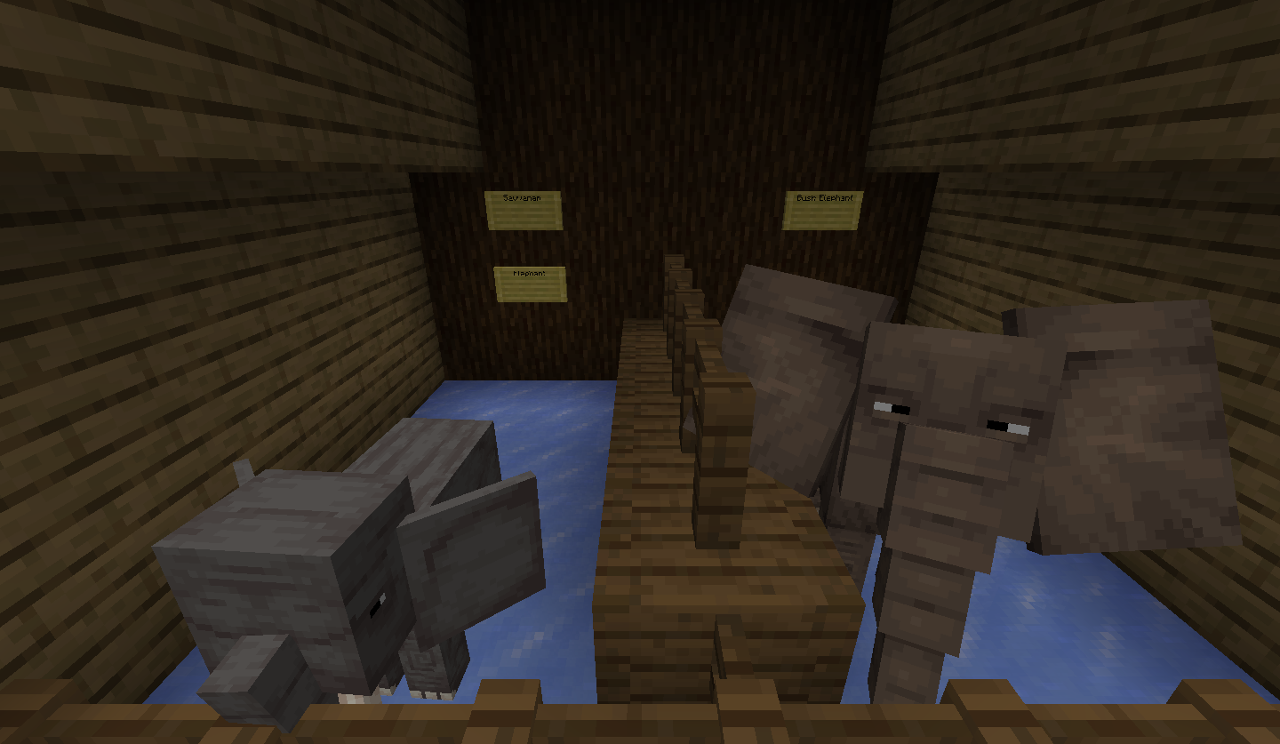 Dumbo