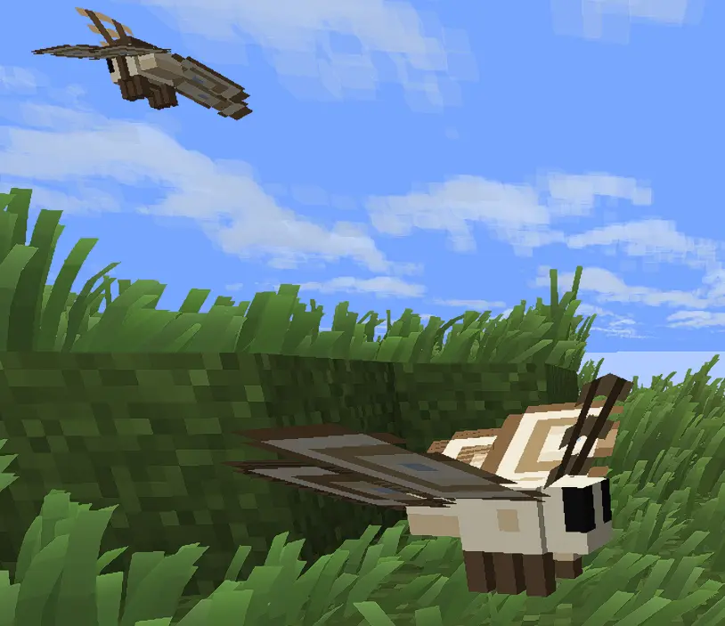 moths