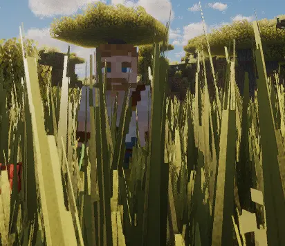 Tall grass