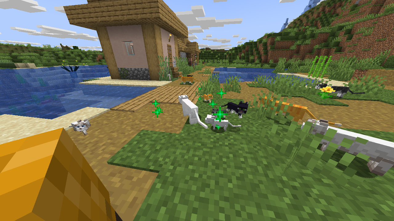 Baby cats