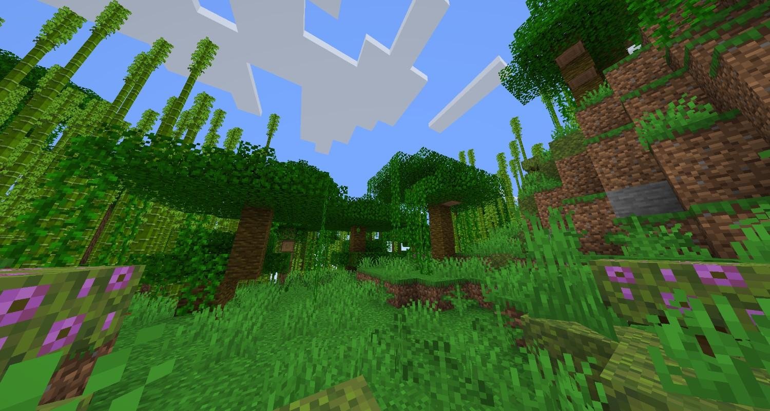 Lush Jungle