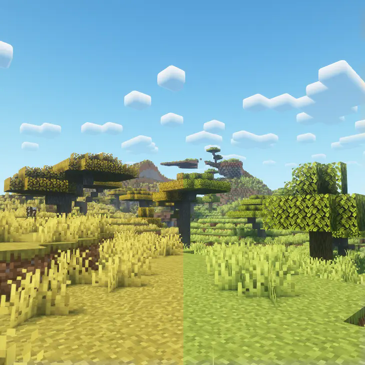 A Side by Side Comparison