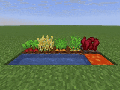 Beet, wheat, carrot, potato and nether ward crops blinking yellow