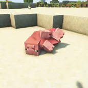 Pigimage1