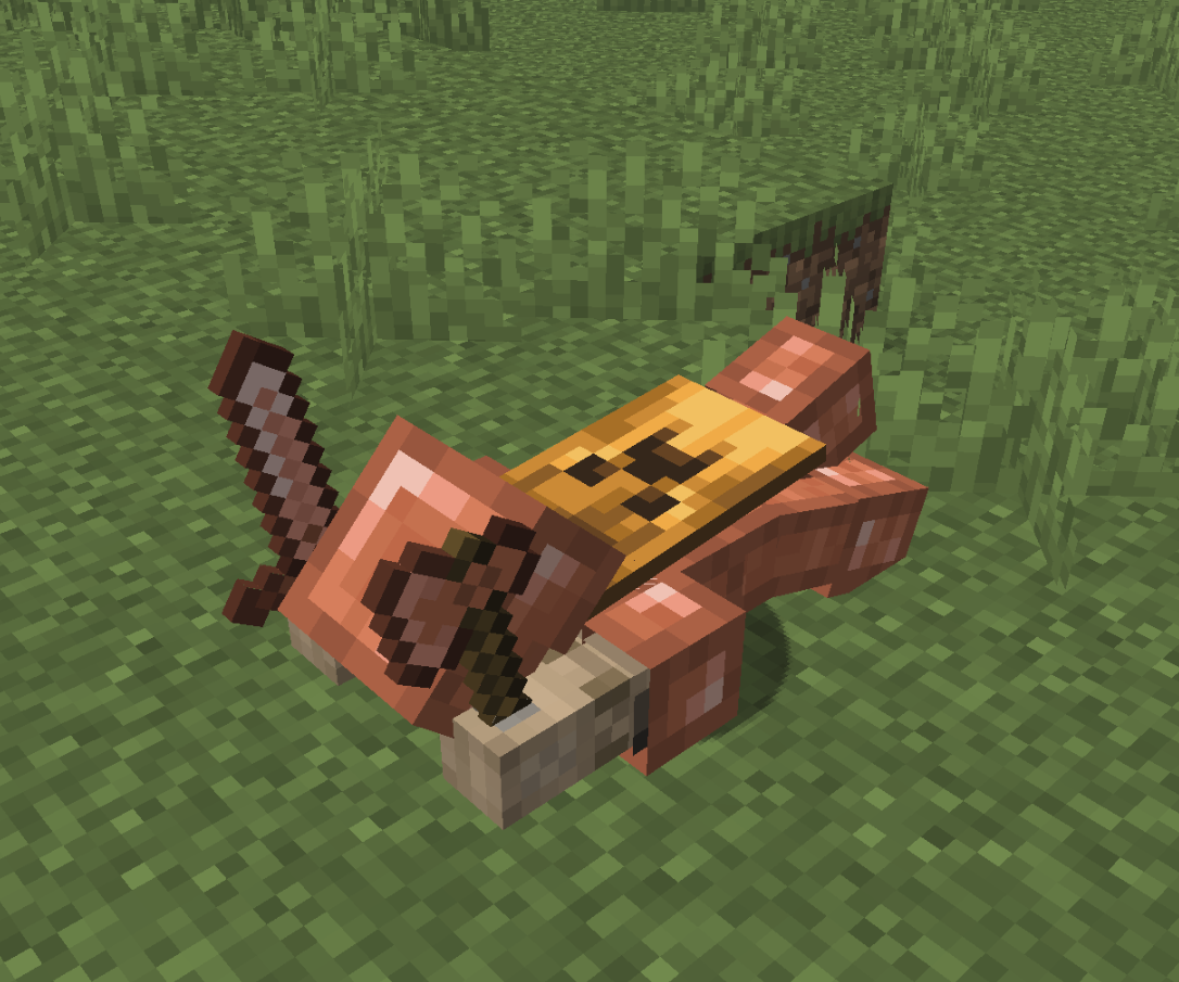 Image showing the fall flying pose