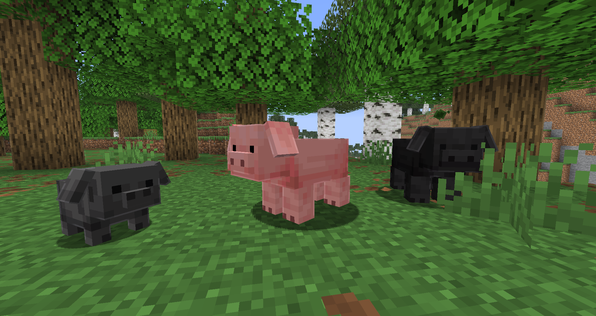 A group of pigs underneath an oak tree in a forest