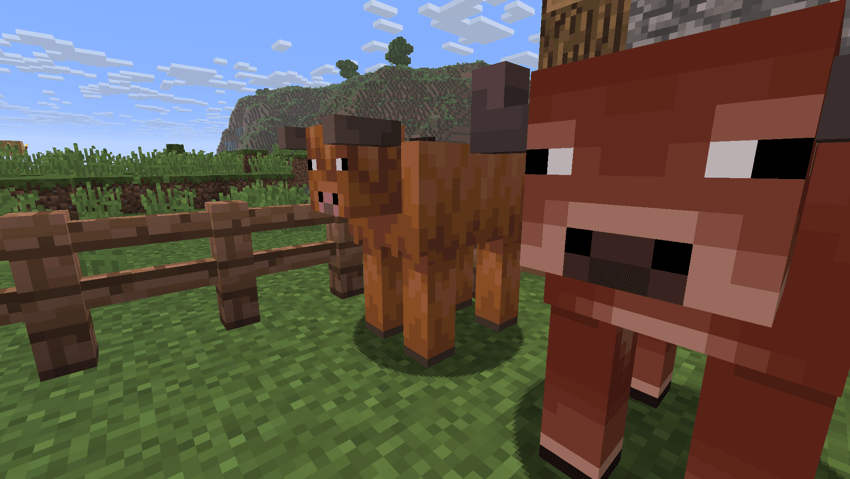 Cold and warm cows with a 2D snout