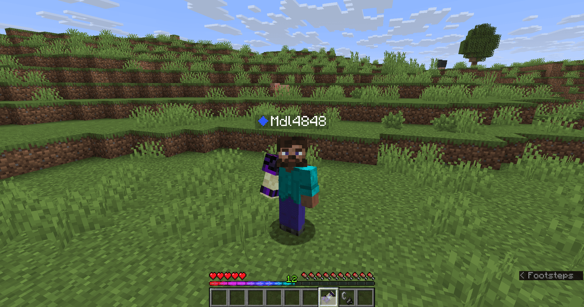 Player wearing a sacrifice glove, in a plains biome