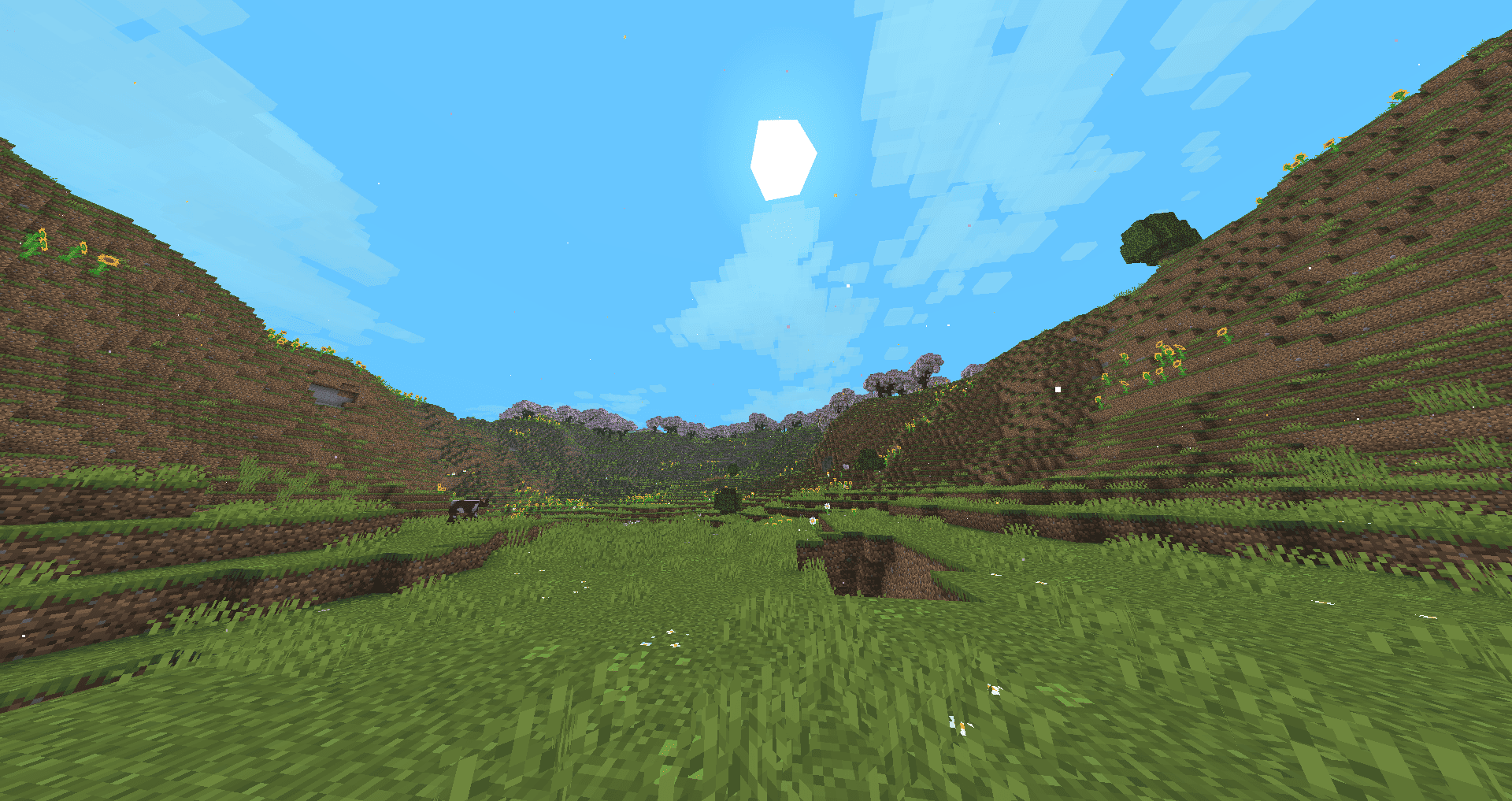 Plains biome