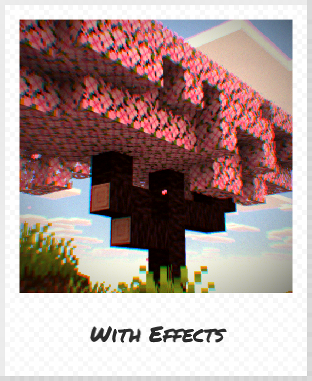 Polaroid photo with effects