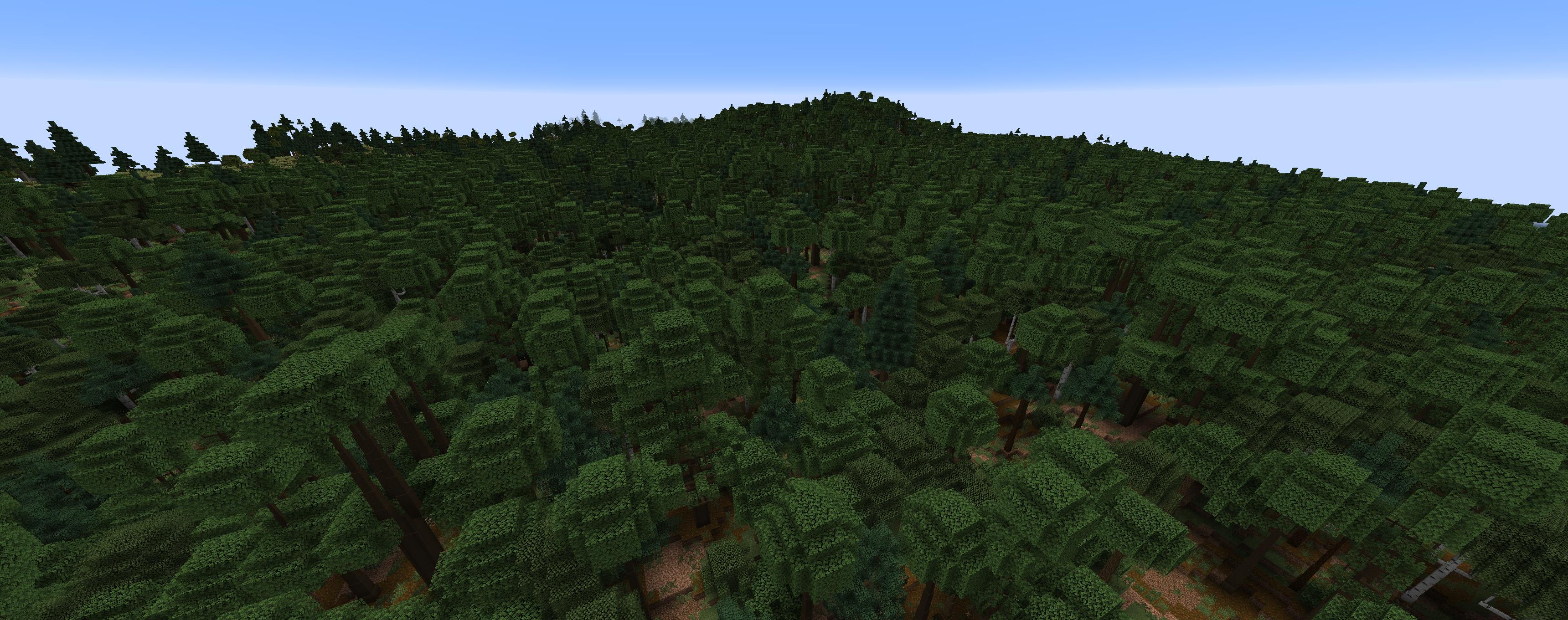 Wow, that's a lot of trees!