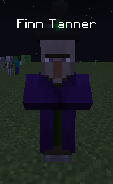 A Minecraft Witch, with the text "Finn Tanner" above it's head.
