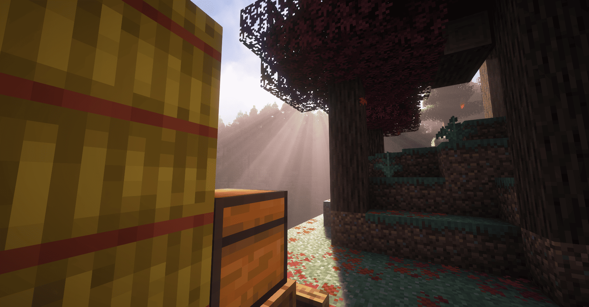Biome1