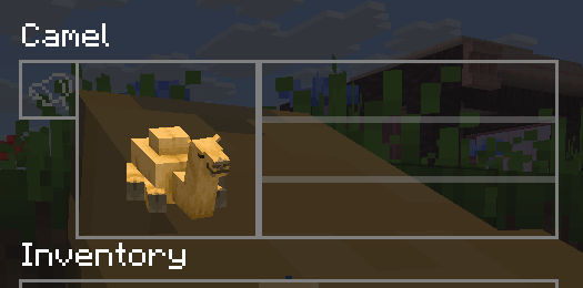 Camel name being white