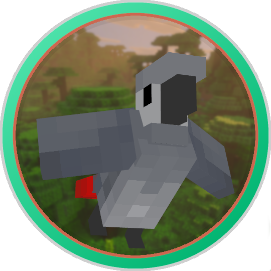 african grey