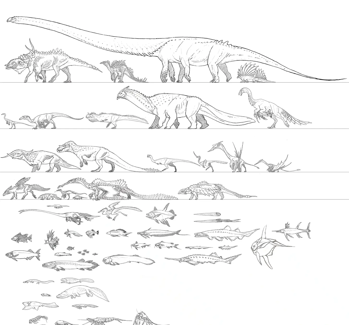 Some animals of this mod