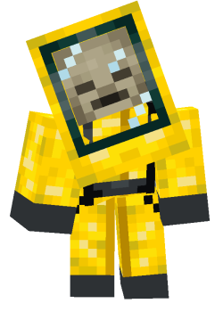 The irradiated